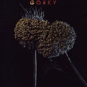 Gorki